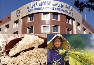 معاملات برنج در بورس کالا رونق می گیرد